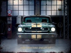 Plaque métal de Garage Ford Shelby